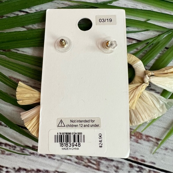 Express Raffia Fan Statement Earrings - Picture 2 of 2